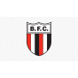 Botafogo-SP