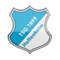 Logo Hoffenheim
