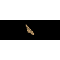 LAFC