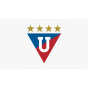 LDU