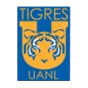 Tigres